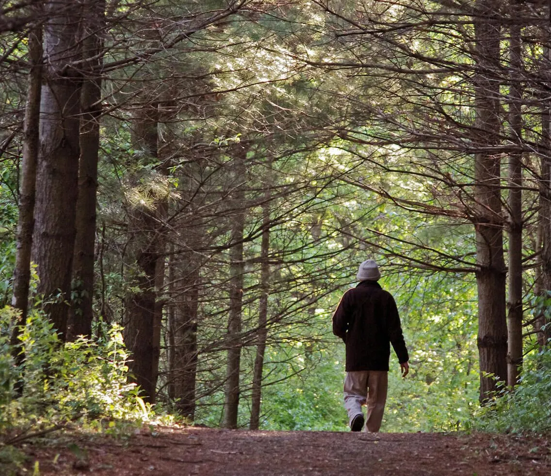 Fall hike